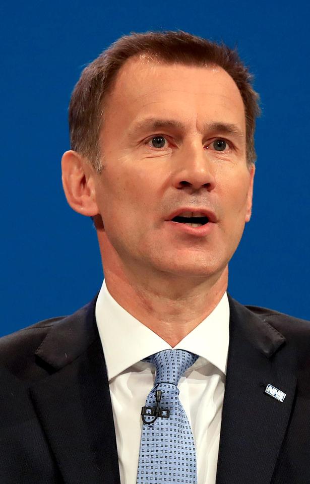  Foreign Secretary Jeremy Hunt will fly to Berlin today to meet his counterpart for the first time