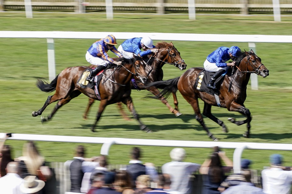 Al Hilalee (right) made a winning debut at Newmarket