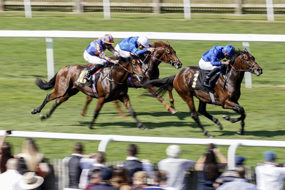  Al Hilalee (right) made a winning debut at Newmarket