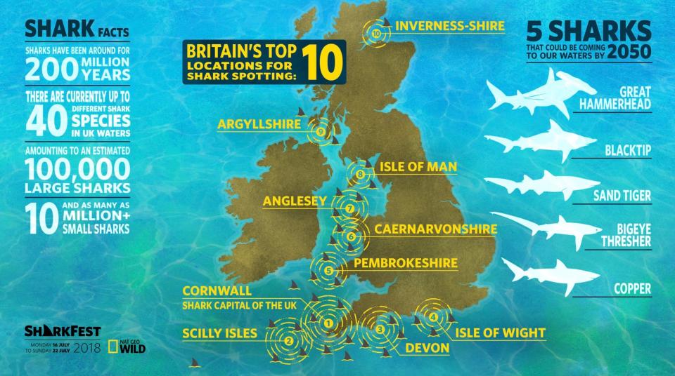  A new shark map of Britain shows 'hotspots' where the beasts from the deep are likely to arrive