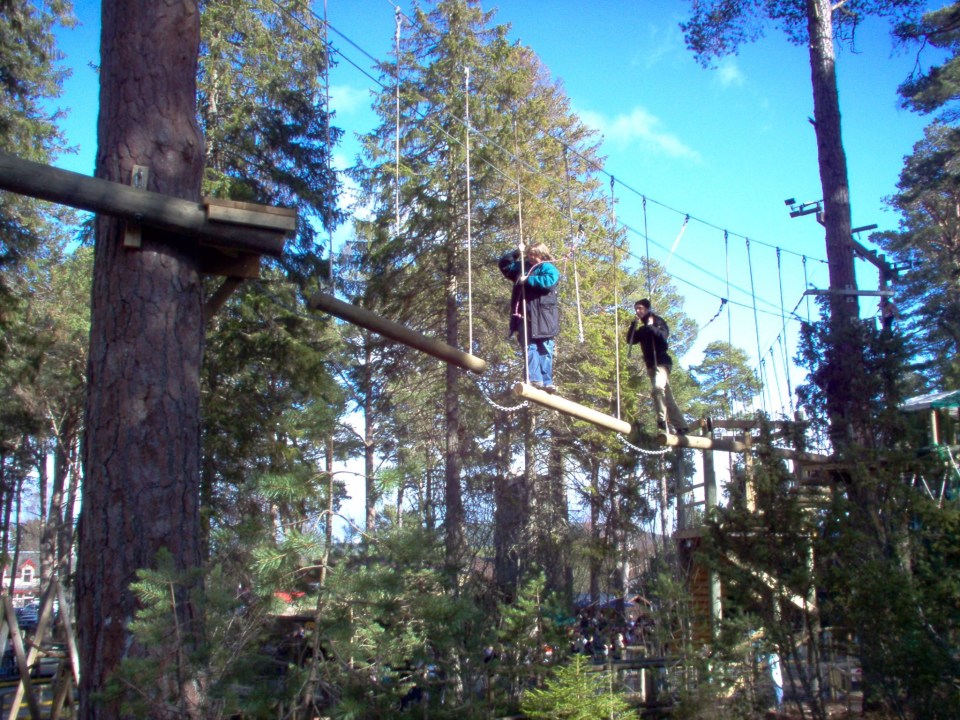 Landmark Forest Adventure Park is in the heart of the Cairngorms National Park 