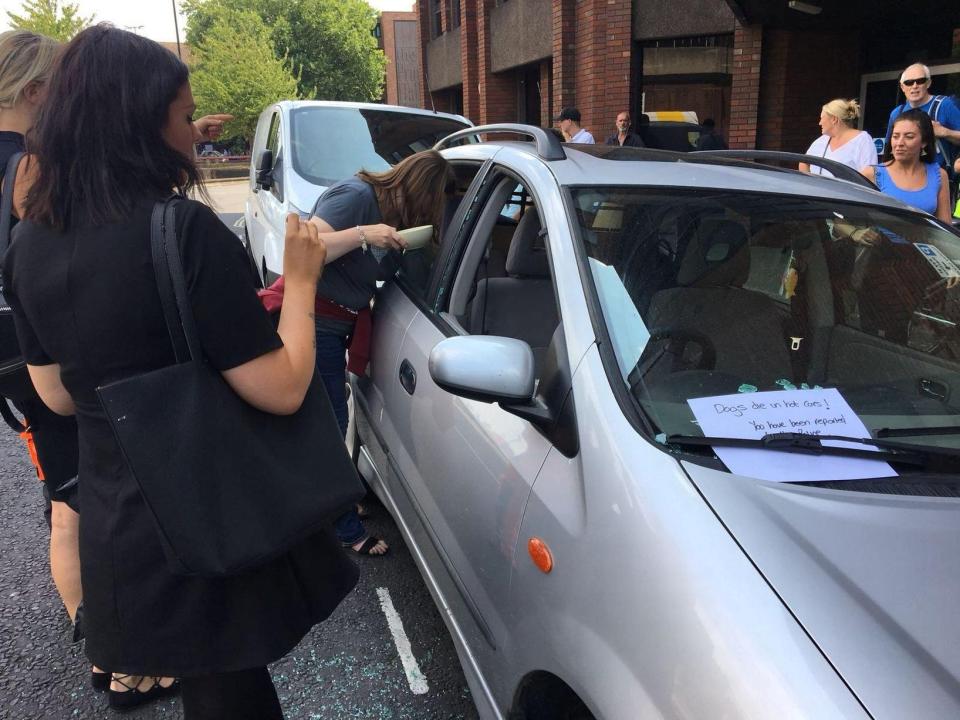  A woman at the scene gave the dogs water