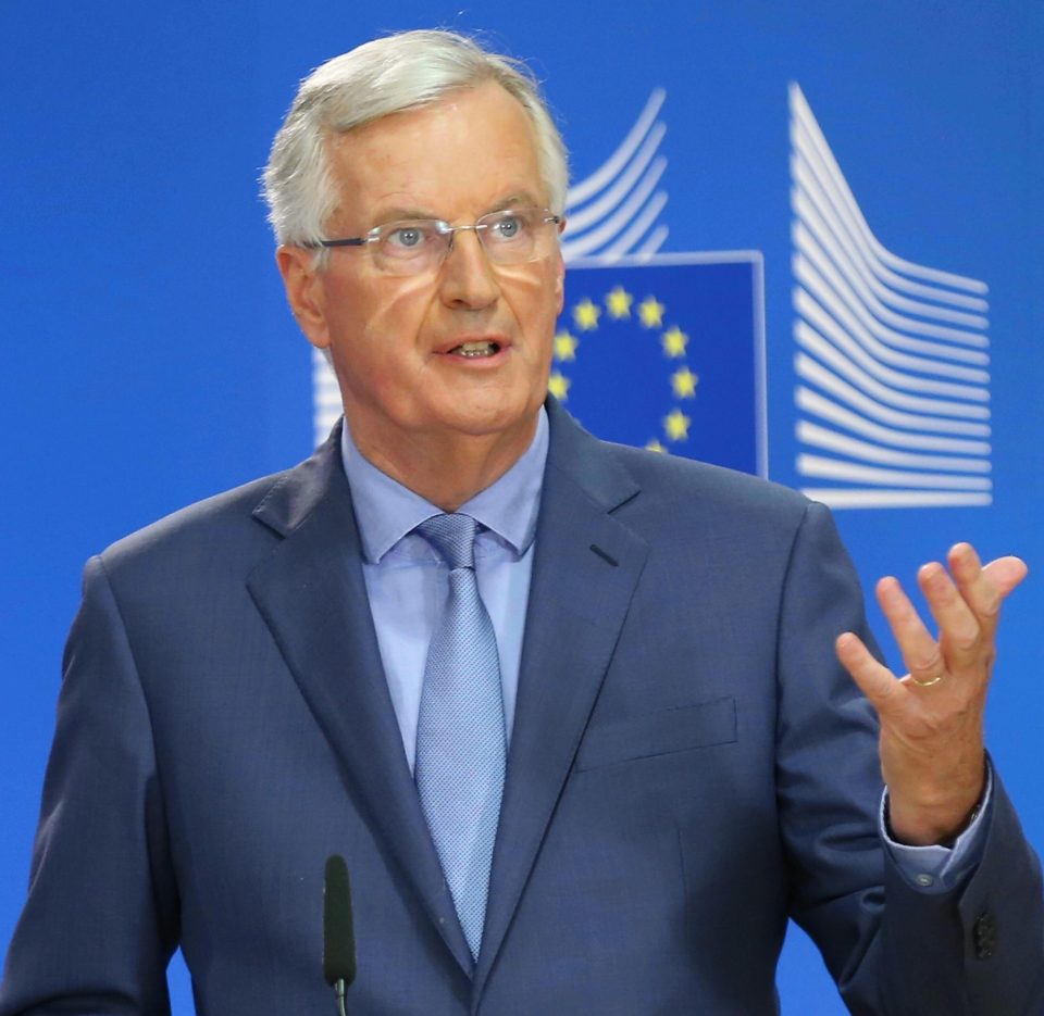  A German MEP has called for EU's chief negotiator Michel Barnier to be sacked