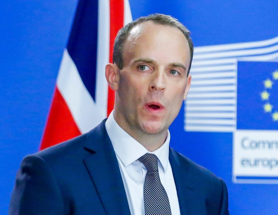  Euro MPs accused Brexit Secretary Dominic Raab of 'sabotaging' negotiations