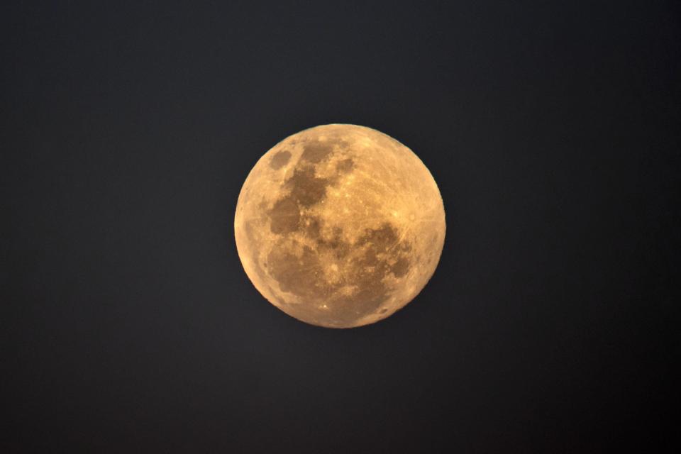  The moon, seen from Bondi Beach, Australia, is seen by some as a sign of the 'coming apocalypse'