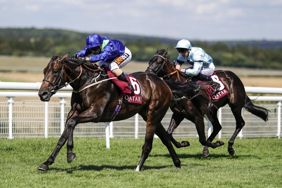 Dark Vision was an epic winner of the Group 2 Vintage Stakes at Goodwood last month