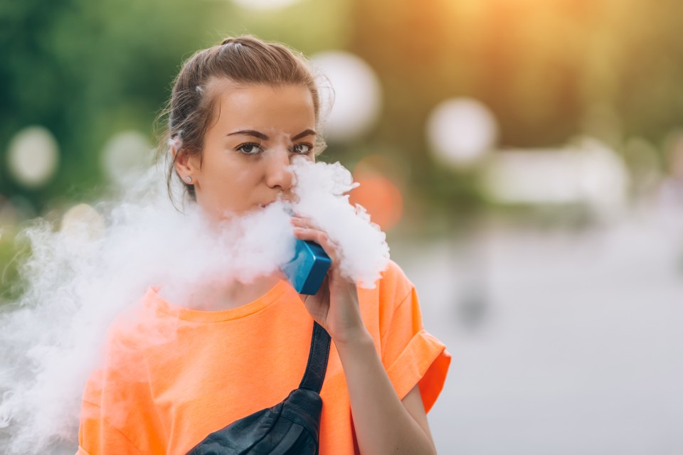  It is important you find out about vaping bans before heading off on a trip