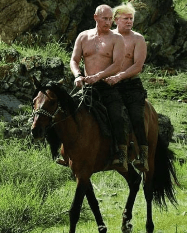 And of course there were a host of memes poking fun at Trump, with one photoshopping him into the iconic image of Putin riding a horse topless