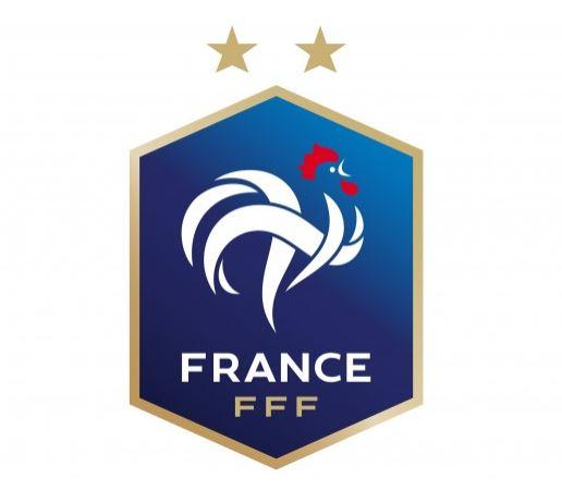 This will be the new crest that will be worn on the senior French side's shirt