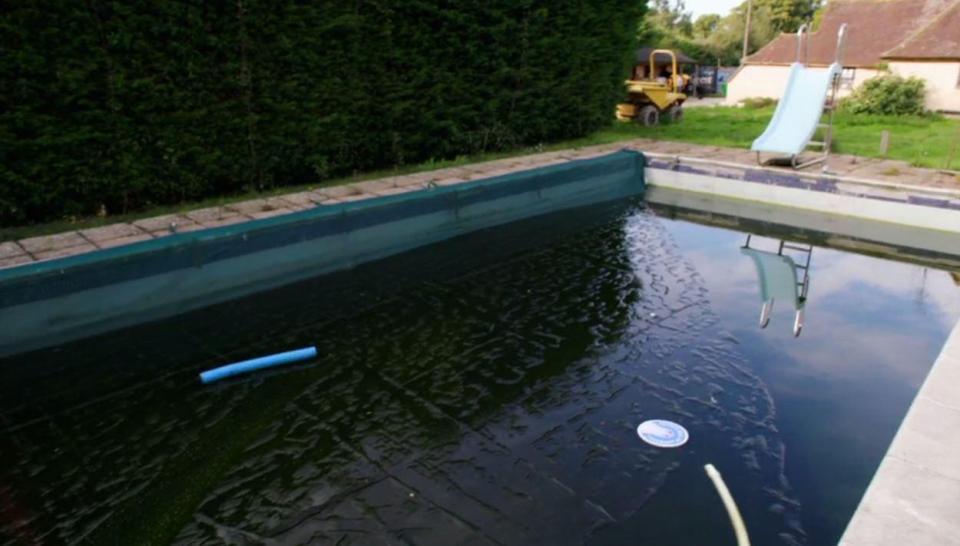 The swimming pool was covered in scum and algae