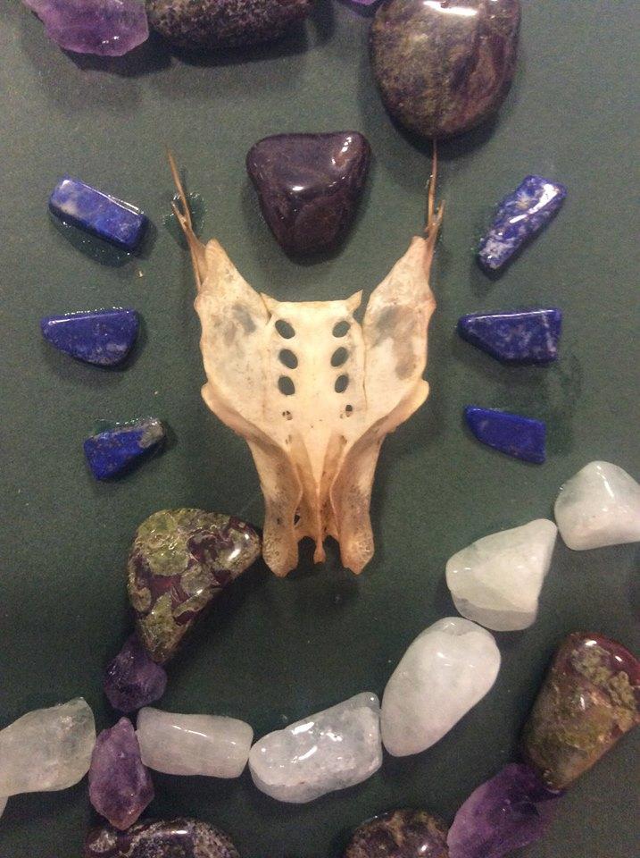  Healing crystals and a dragon skull which Jane uses in her sessions