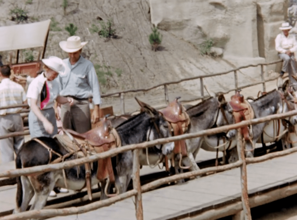  Jeff's grandmother takes a donkey ride in the clip