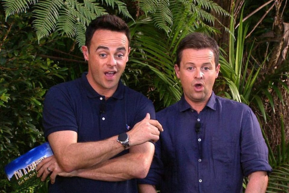  Declan Donnelly will present the upcoming series of the ITV show without Ant when it returns this November