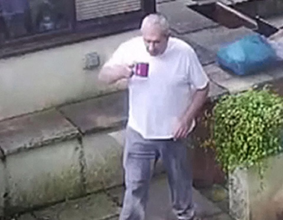 John Palmer caught on CCTV pottering around his garden just hours before his body was found