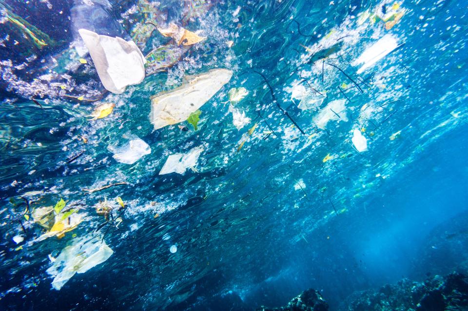  Best estimates predict that 12million tonnes of plastic escape into the world's oceans every year