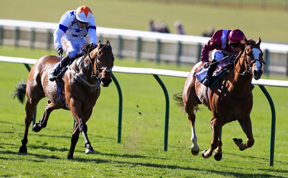  El Astronaute (right) can get us off to a good start at York