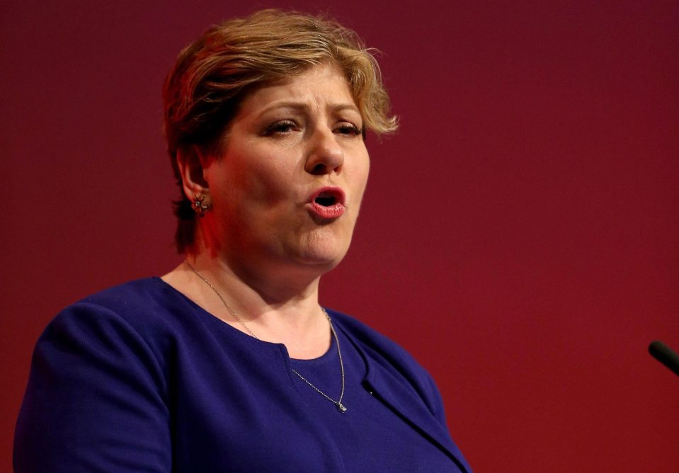  Labour frontbencher said she would not let a woman in a burka look after her children