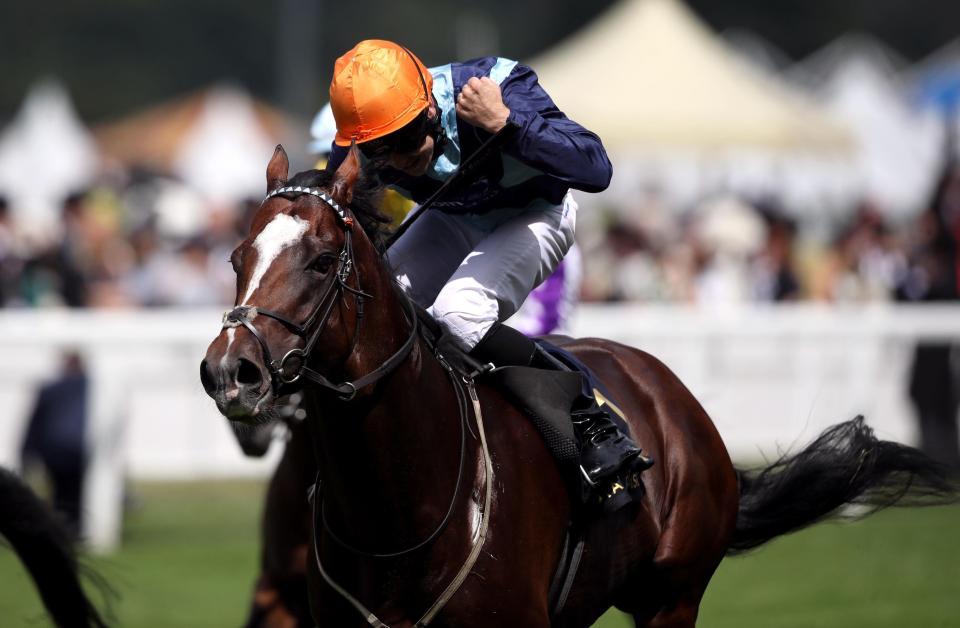  Accidental Agent caused a 33-1 shock in the Queen Anne at Royal Ascot