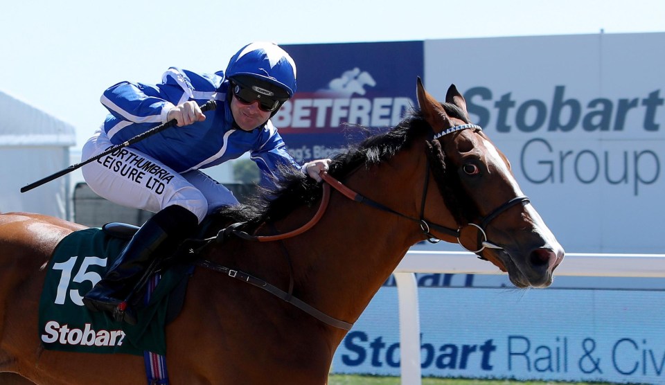 Withhold is the favourite for the Melbourne Cup - but also one of the lowest rated horses