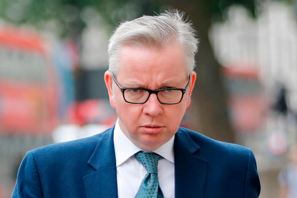  Michael Gove claimed the British public were 'prepared to pay more in order to help the environment'