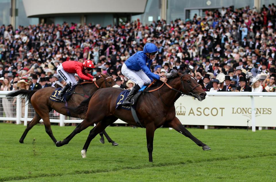  Blue Point has won three of his four starts at Ascot