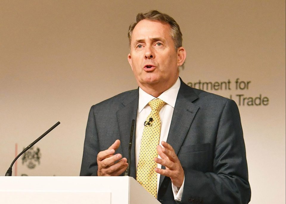  Liam Fox claimed Britain is now ‘odds-on’ to crash out of the EU without a deal