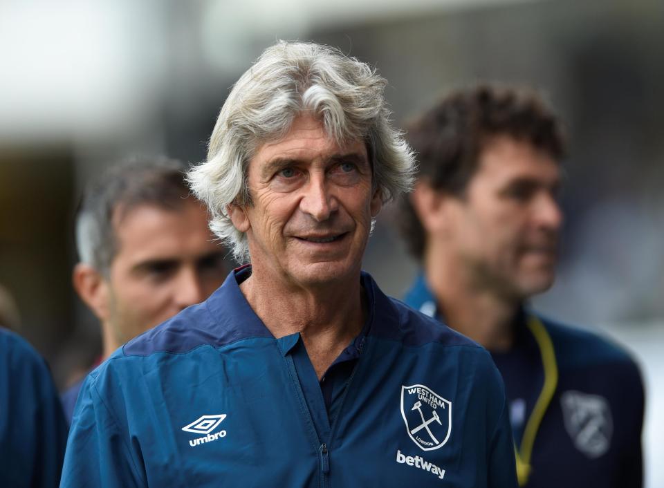  Manuel Pellegrini has enjoyed a fine window in the transfer market