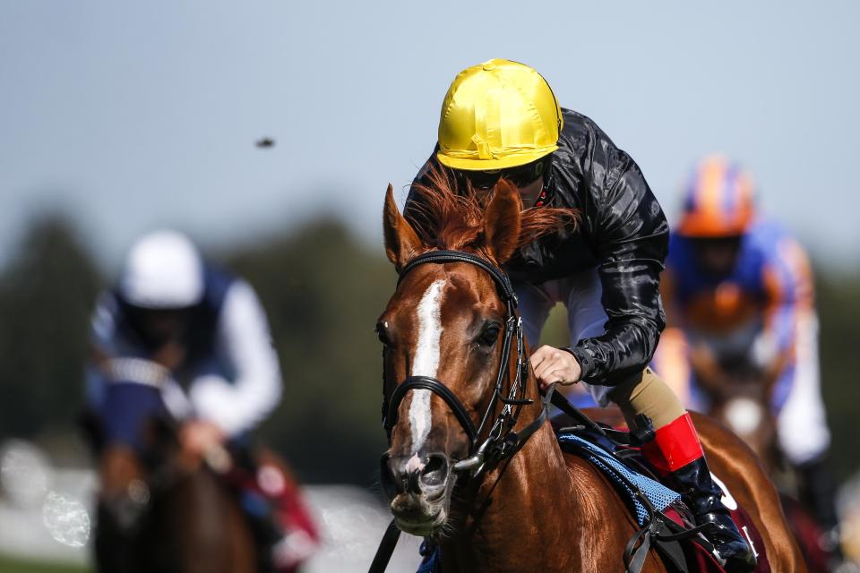  Stradivarius is on course to win a £1,000,000 bonus at York