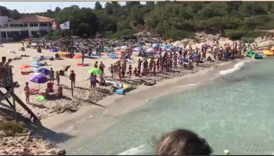  Tourists watched on in terror as the shark circled in the waters off the beach