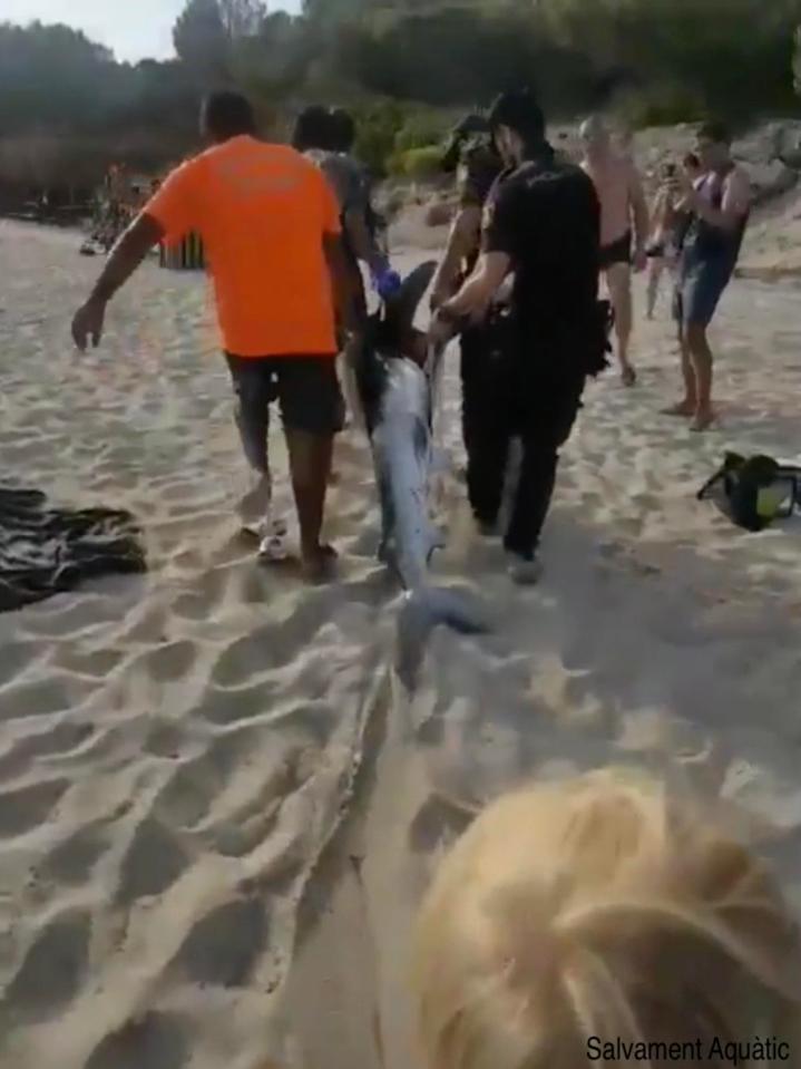  Cops could be seen hauling the shark away from the water