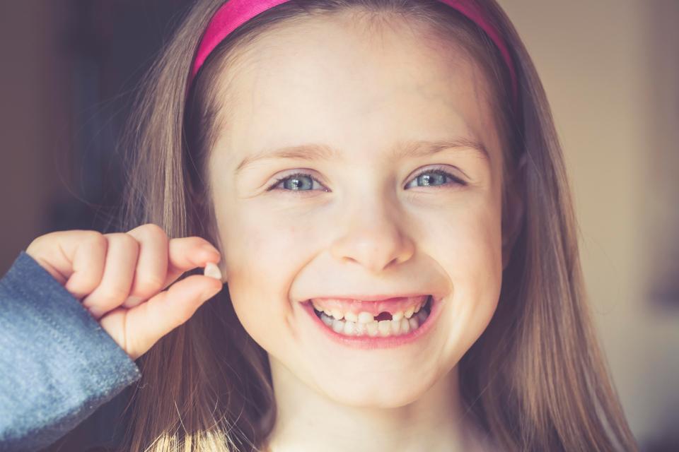  Children have usually grown into their adult teeth by the age of 14