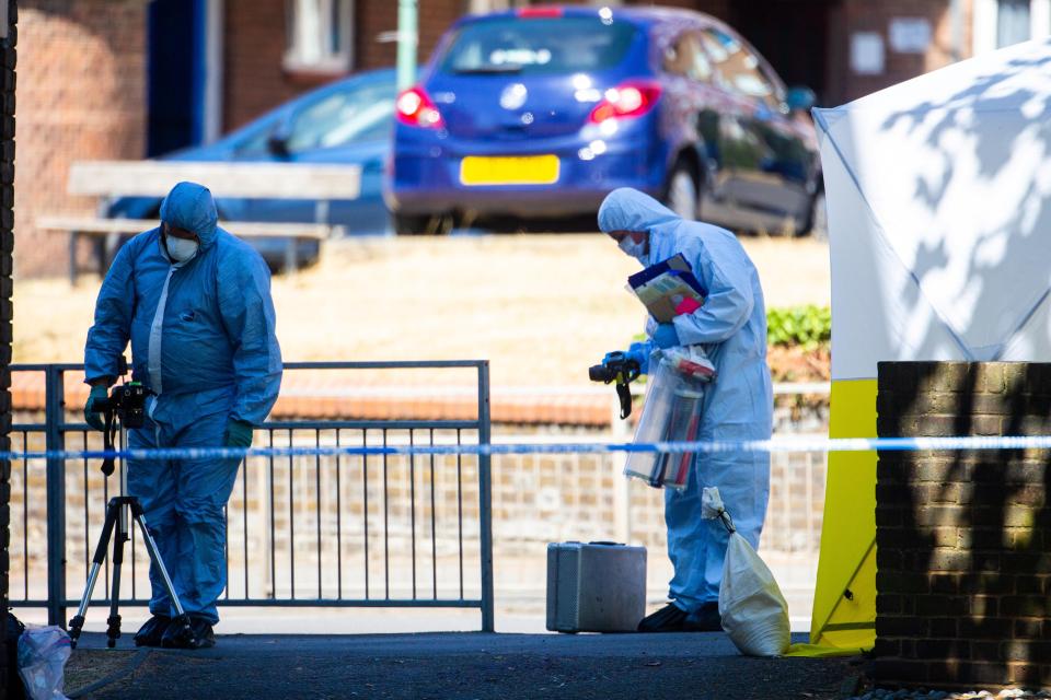  A forensics team examining the area