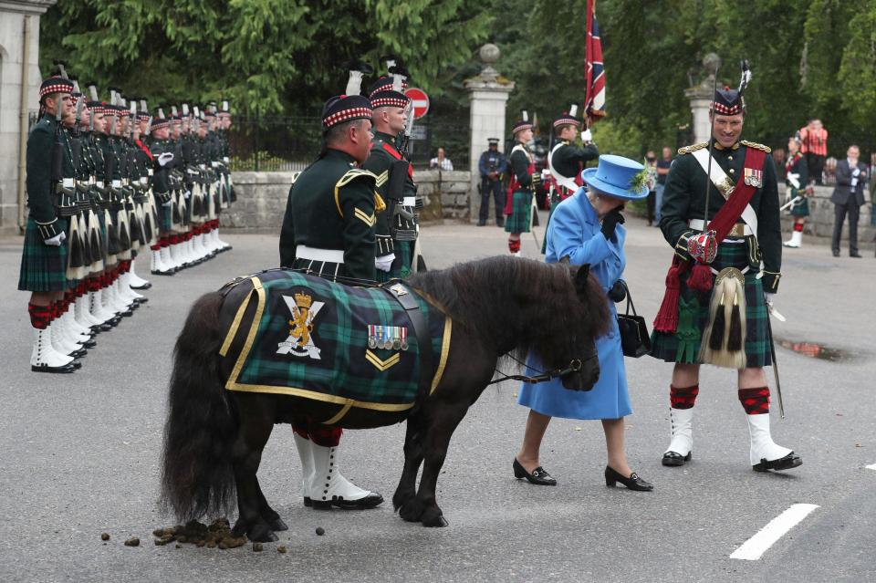 The Queen held her nose when a Shetland pony did a poo in front of her yesterday