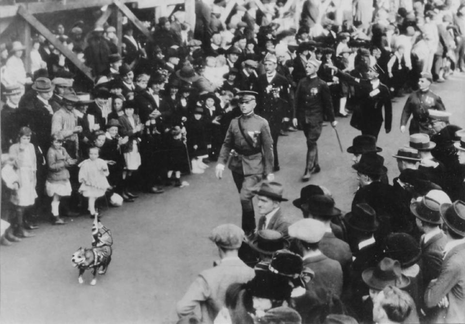  After his trials and tribulations in France, a ticker tape parade back home was child's play for Stubby