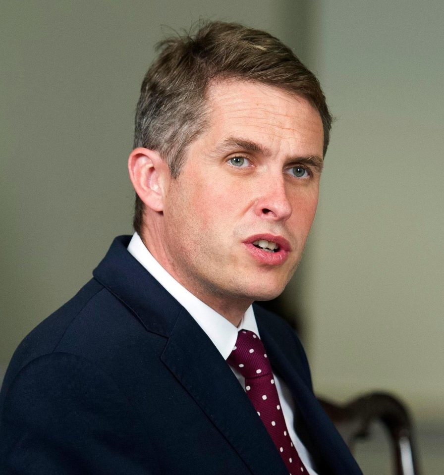  Defence Secretary Gavin Williamson was 'livid' after France begged for help defeating jihadis then tried to bill us £2million