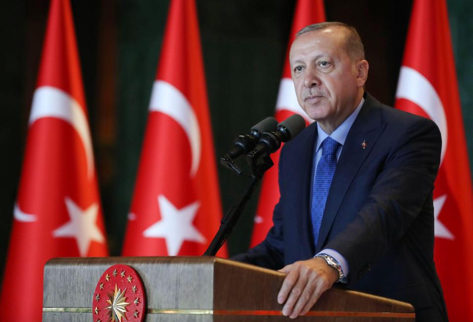  President Erdogan accused the US of seeking to stab Turkey 'in the back'