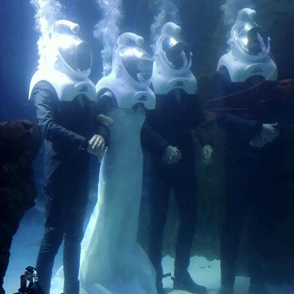  This couple ended up tying the knot inside a tank at an aquarium