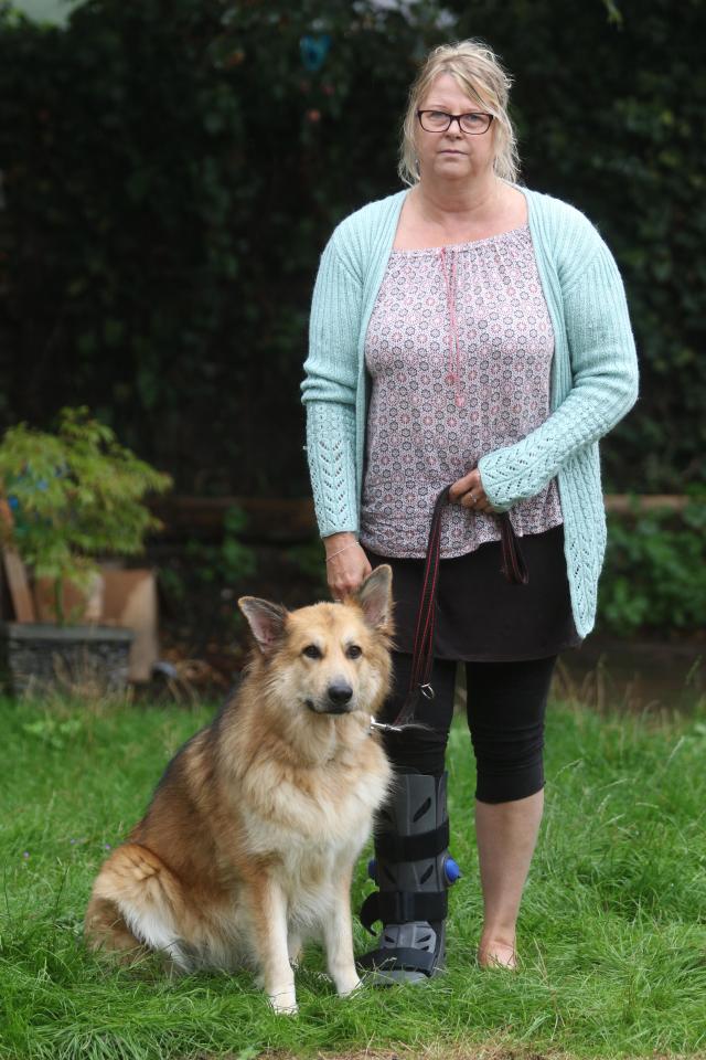 Mum-of-two fuming after being fined eye-watering £1,000 for walking Alsatian off lead