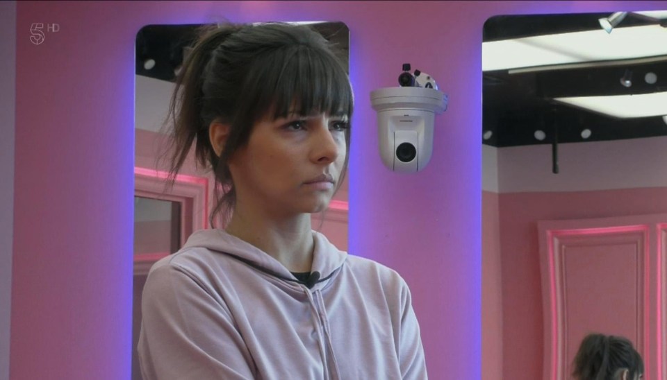 Roxanne told Big Brother Ryan had punched her during a play fight on last nights show