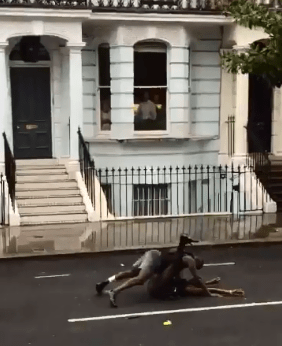  The couple were filmed getting down and dirty in a sex simulation in the middle of the road at Notting Hill Carnival