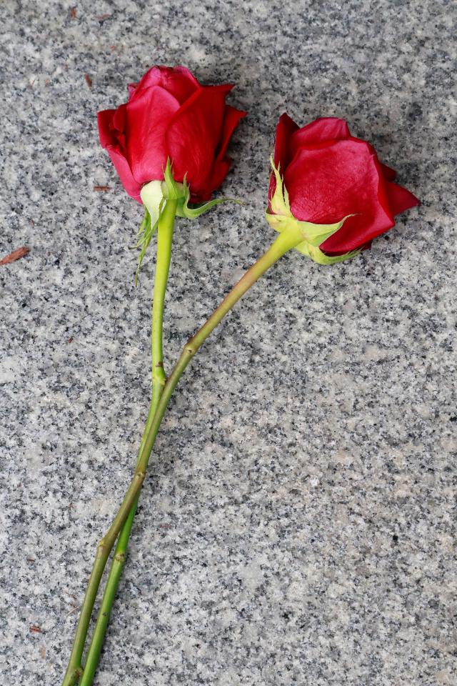  Ariana asked a friend to lay two roses outside the grave for her