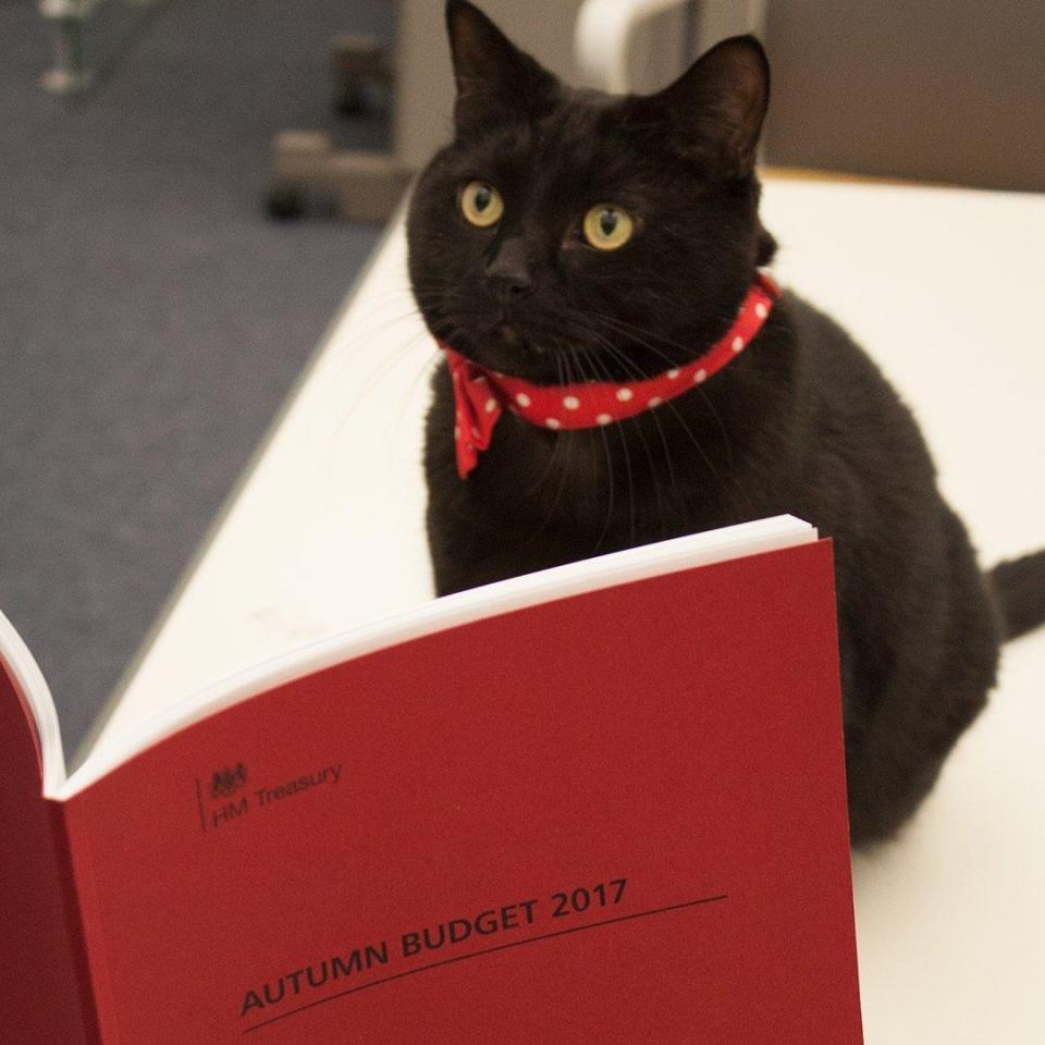  Gladstone pictured reading the Budget last year