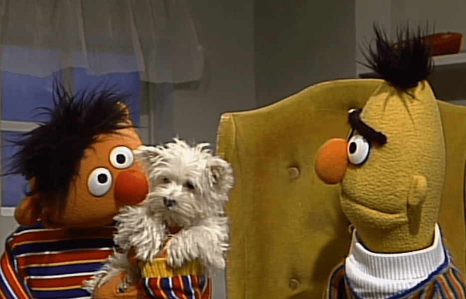 Ernie decided to surprise his pal Bert with an adorable puppy