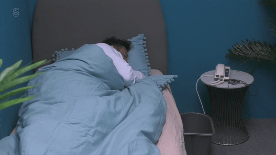  Ryan was sent to a separate room after falling ill on CBB