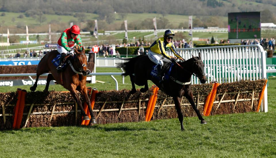  Willoughby Court (right) won the Neptune Novices' Hurdle back in 2017