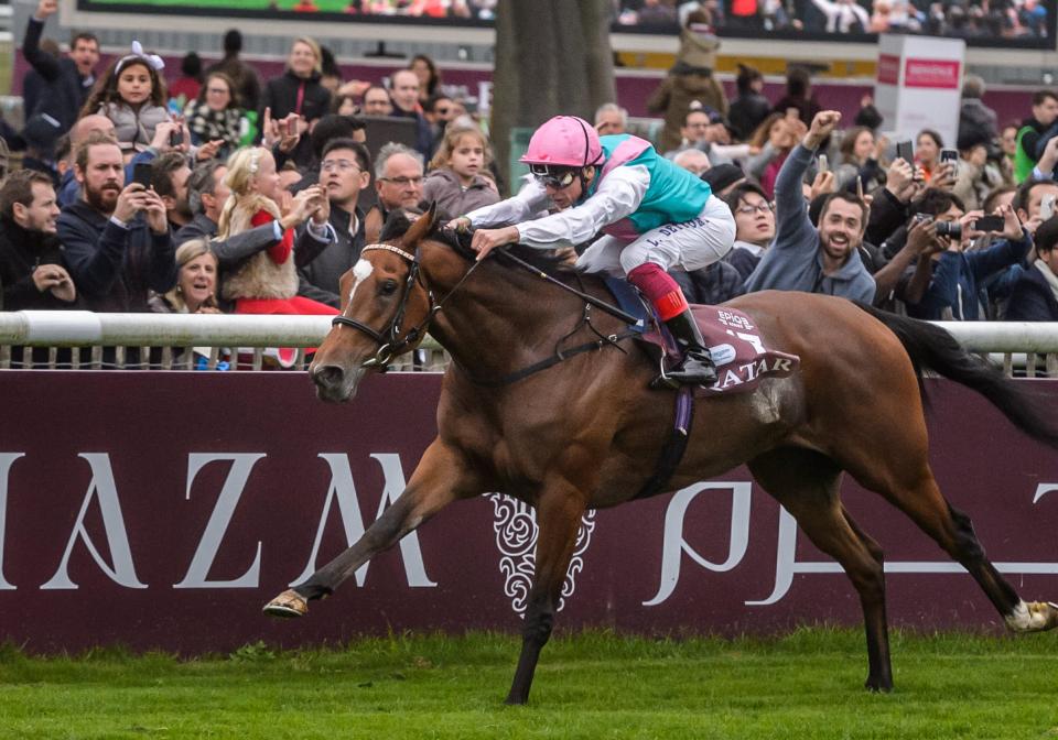  Enable was a fantastic winner of last year's Arc