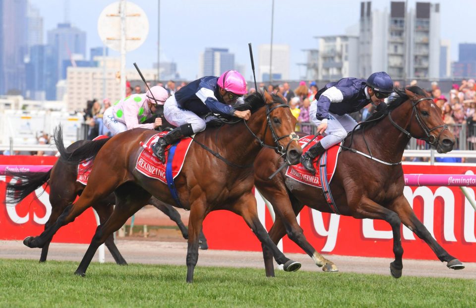  Rekindling (near) won the Melbourne Cup last year for Joseph O'Brien