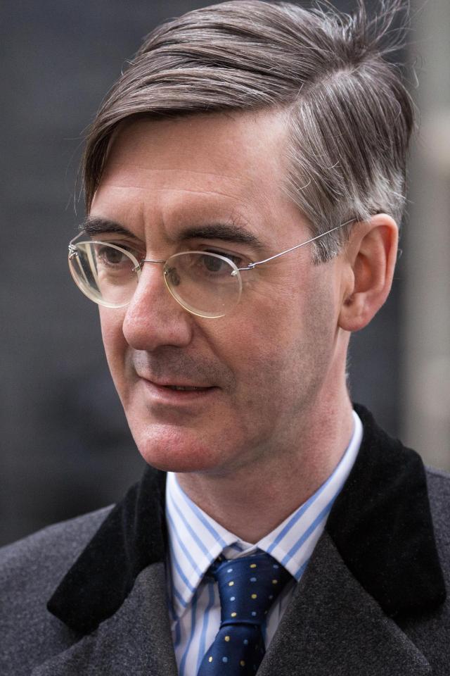  Jacob Rees Mogg, the Conservative backbencher and leading Brexiteer, is among the panelists