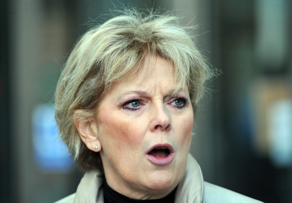  Alderman posted a Facebook message saying Anna Soubry should be shot and drowned