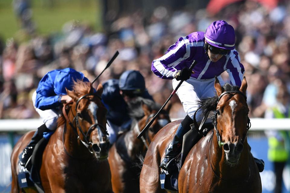  Saxon Warrior won the 2,000 Guineas in May